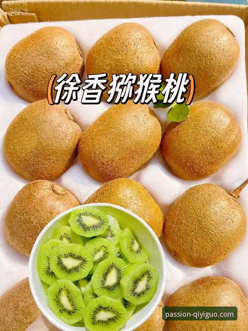 奇异果体育官网 奇异果体育平台实用指南:从下载到深度观赛的必备知识